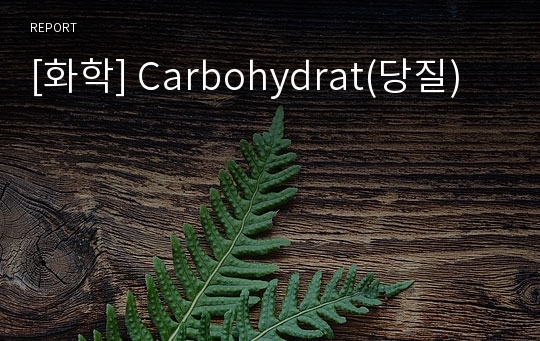 [화학] Carbohydrat(당질)