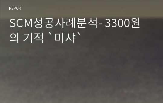 SCM성공사례분석- 3300원의 기적 `미샤`