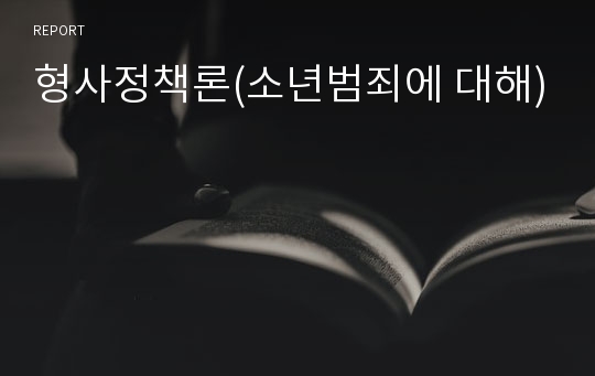 형사정책론(소년범죄에 대해)