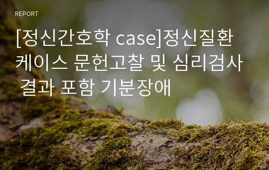 [정신간호학 case]정신질환케이스 문헌고찰 및 심리검사 결과 포함 기분장애