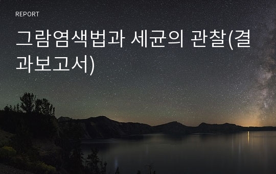 그람염색법과 세균의 관찰(결과보고서)