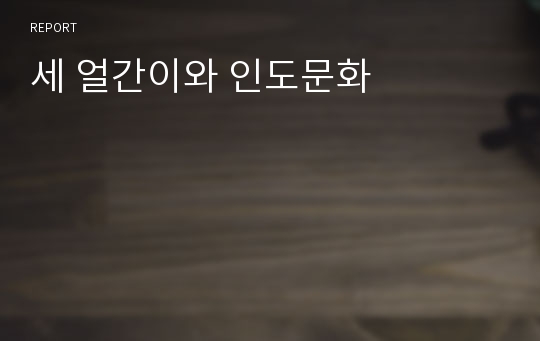 세 얼간이와 인도문화