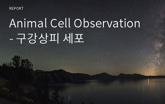 Animal Cell Observation - 구강상피 세포