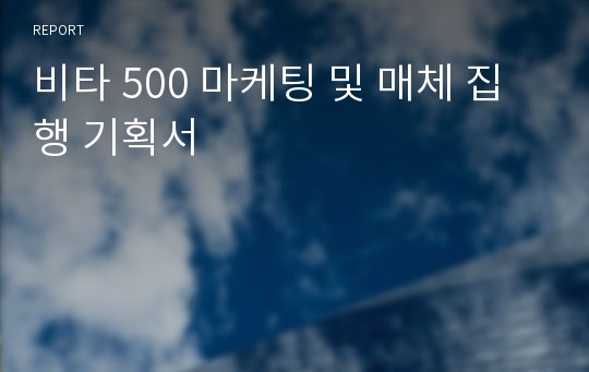 비타 500 마케팅 및 매체 집행 기획서