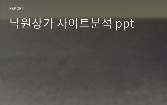 낙원상가 사이트분석 ppt