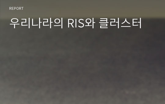 우리나라의 RIS와 클러스터