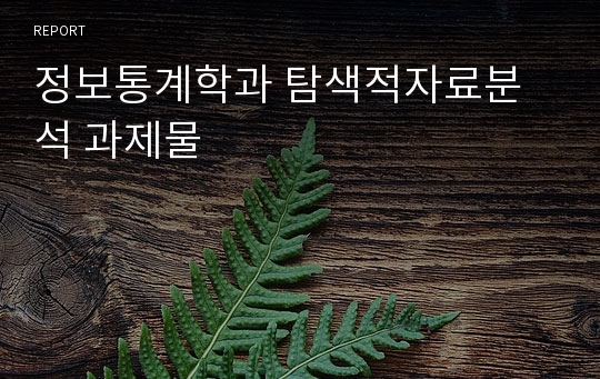 정보통계학과 탐색적자료분석 과제물