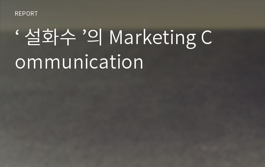 ‘ 설화수 ’의 Marketing Communication