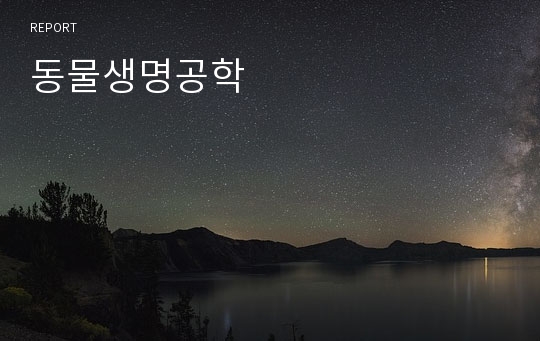 동물생명공학