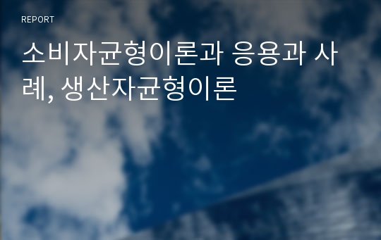 소비자균형이론과 응용과 사례, 생산자균형이론