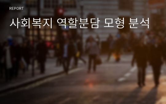 사회복지 역할분담 모형 분석