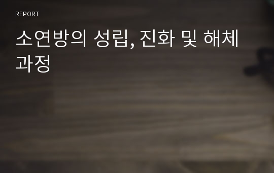 소연방의 성립, 진화 및 해체과정