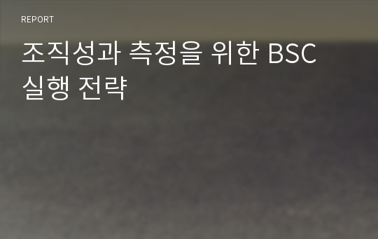 조직성과 측정을 위한 BSC 실행 전략