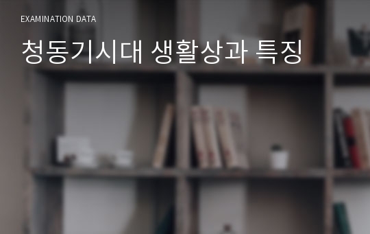 청동기시대 생활상과 특징