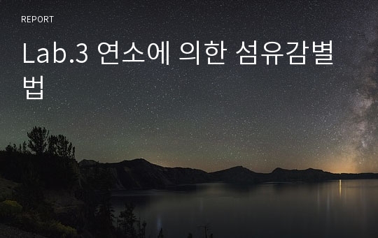 Lab.3 연소에 의한 섬유감별법