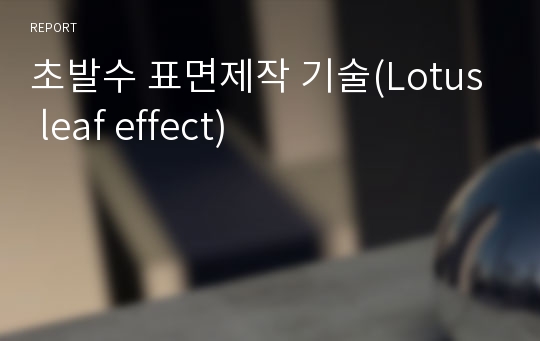 초발수 표면제작 기술(Lotus leaf effect)