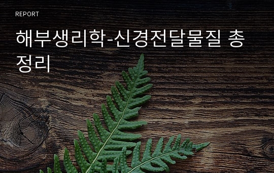 해부생리학-신경전달물질 총정리