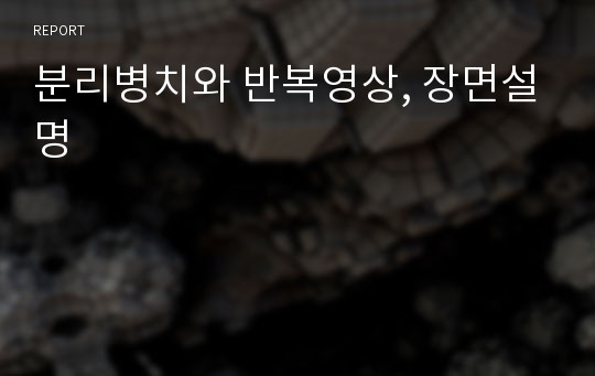 분리병치와 반복영상, 장면설명