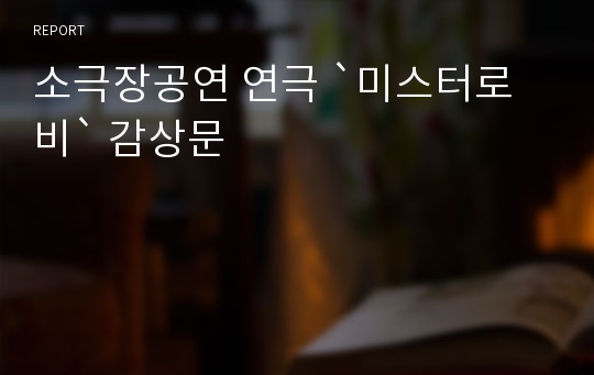 소극장공연 연극 `미스터로비` 감상문