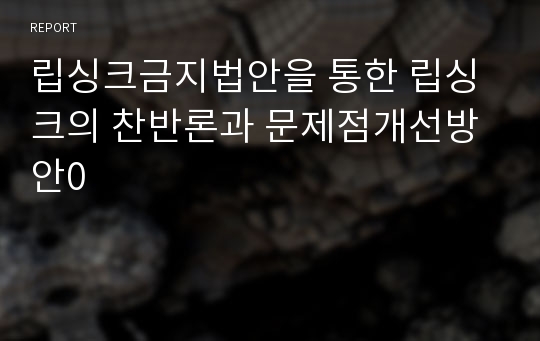 립싱크금지법안을 통한 립싱크의 찬반론과 문제점개선방안0