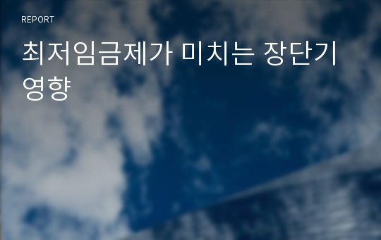 최저임금제가 미치는 장단기 영향