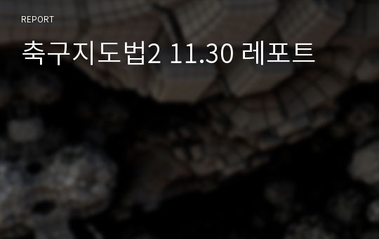 축구지도법2 11.30 레포트