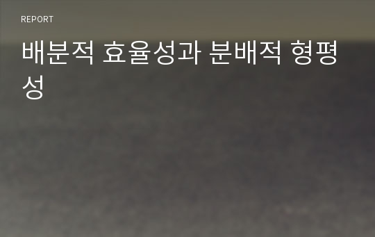 배분적 효율성과 분배적 형평성