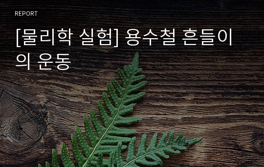 [물리학 실험] 용수철 흔들이의 운동