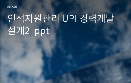 인적자원관리 UPI 경력개발설계2  ppt