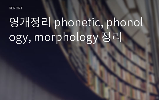 영개정리 phonetic, phonology, morphology 정리