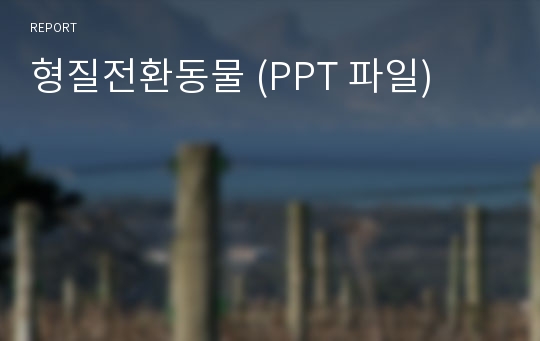 형질전환동물 (PPT 파일)