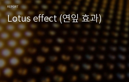 Lotus effect (연잎 효과)