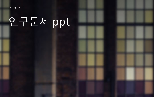 인구문제 ppt