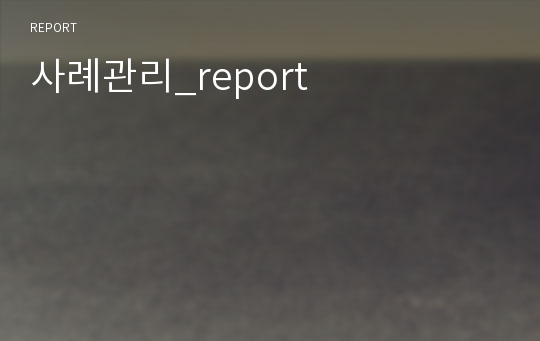 사례관리_report
