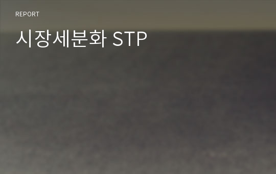 시장세분화 STP