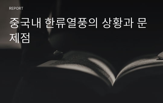 중국내 한류열풍의 상황과 문제점