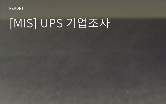 [MIS] UPS 기업조사