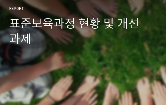 표준보육과정 현황 및 개선 과제