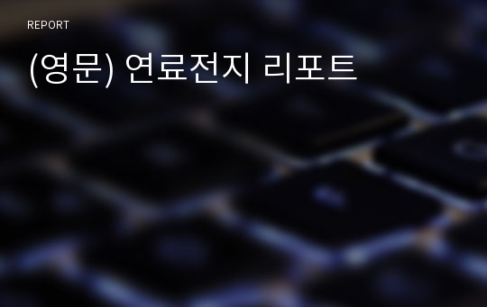 (영문) 연료전지 리포트