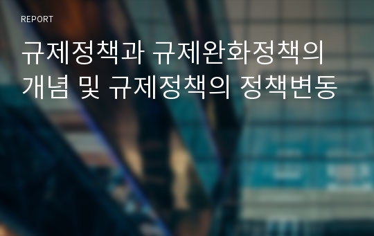 규제정책과 규제완화정책의 개념 및 규제정책의 정책변동