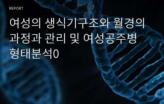 여성의 생식기구조와 월경의과정과 관리 및 여성공주병 형태분석0