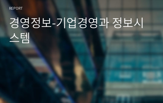 경영정보-기업경영과 정보시스템