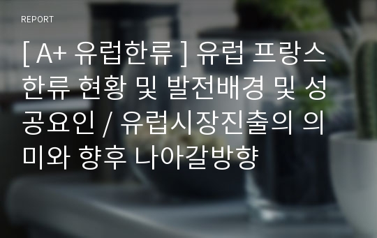 [ A+ 유럽한류 ] 유럽 프랑스 한류 현황 및 발전배경 및 성공요인 / 유럽시장진출의 의미와 향후 나아갈방향