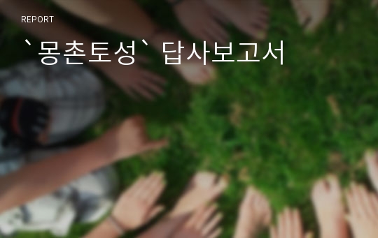 `몽촌토성` 답사보고서