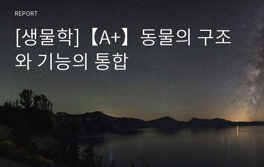 [생물학]【A+】동물의 구조와 기능의 통합