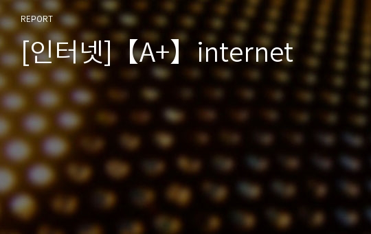 [인터넷]【A+】internet