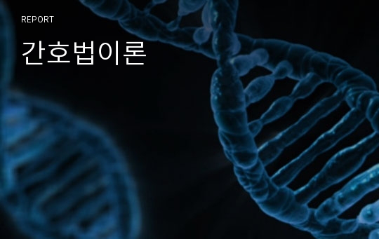 간호법이론