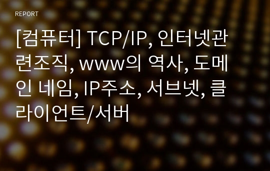 [컴퓨터] TCP/IP, 인터넷관련조직, www의 역사, 도메인 네임, IP주소, 서브넷, 클라이언트/서버