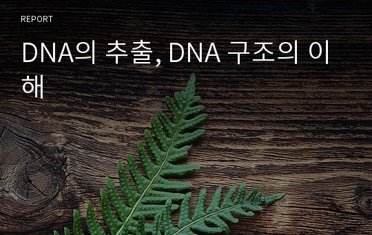 DNA의 추출, DNA 구조의 이해