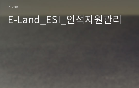 E-Land_ESI_인적자원관리